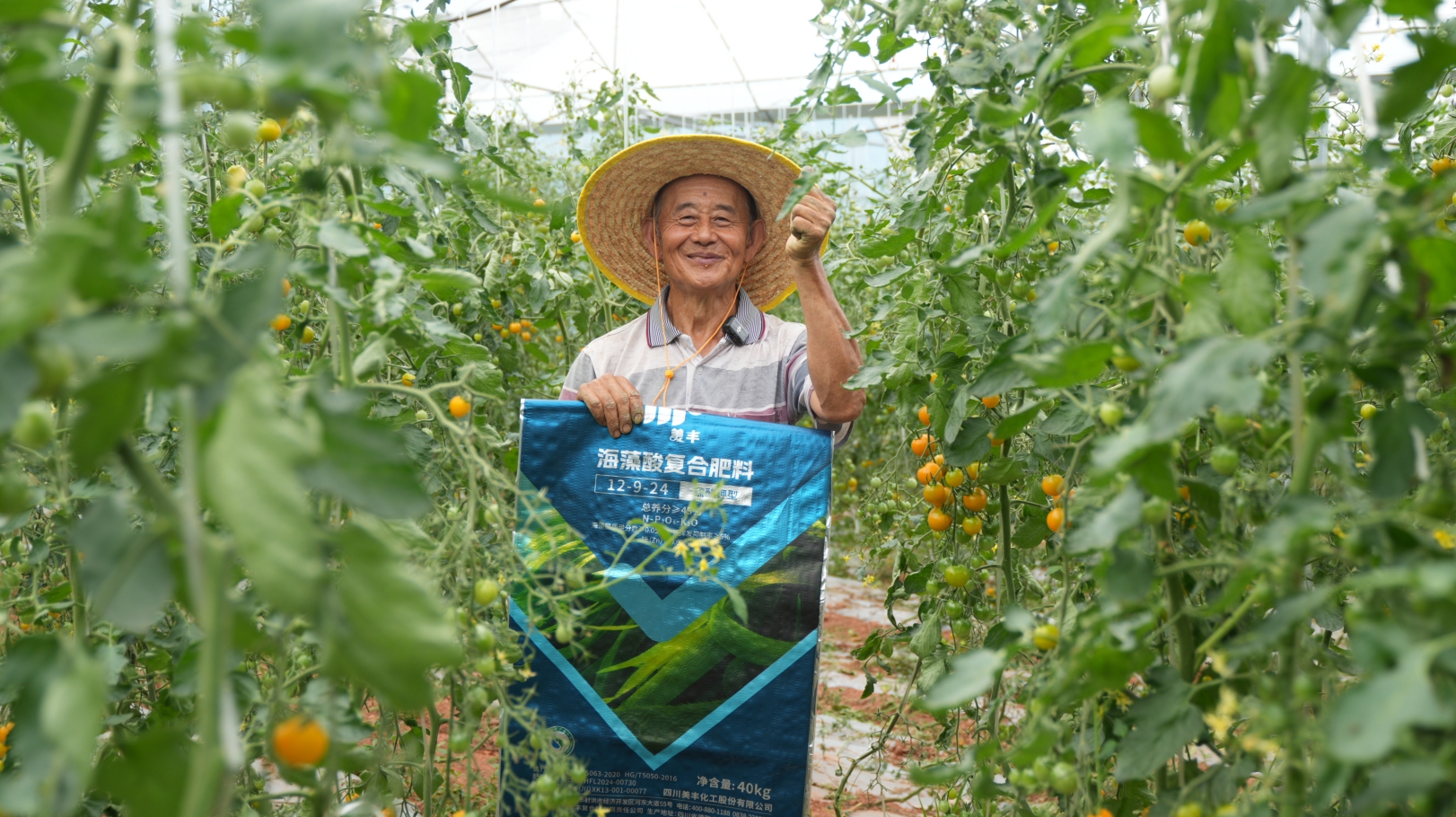 夏攻行動：“三夏”時節精準發力助豐收